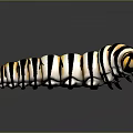 Realistic Animal Painting of Striped Caterpillar with Black White Yellow Colors