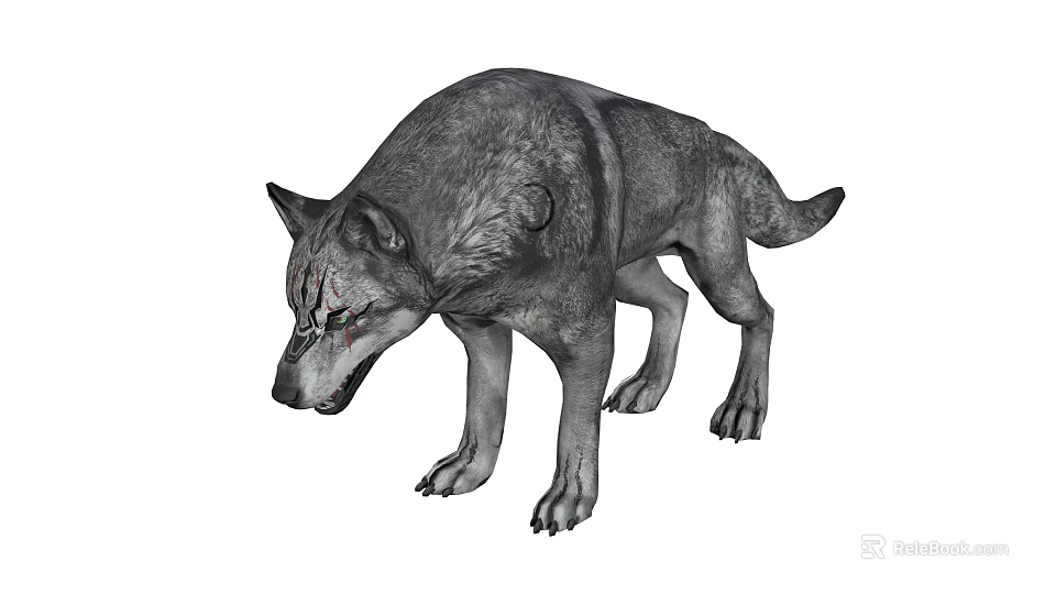Gray Wolf With Realistic Fur Texture Looking Down And Green Eyes 3d model