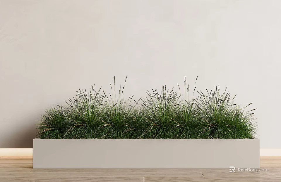 Green Grass Potted Plants In White Rectangular Container Against Light Wall And Wooden Floor 3d model 