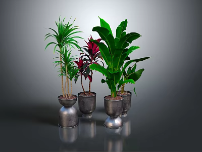Various Indoor Plants with Green and Red Leaves in Metal Pots on Gray Background 3d model