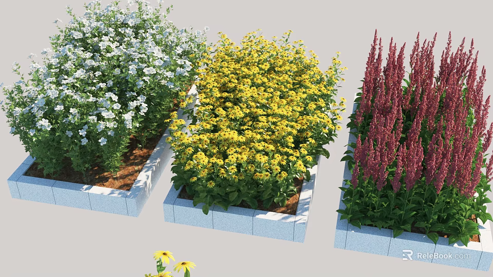 Vibrant Colorful Flowering Bushes In Square Planters With White Yellow Red Blooms 3d model 