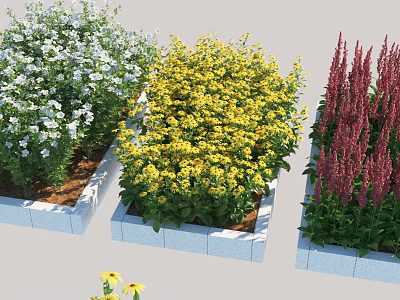 Vibrant Colorful Flowering Bushes In Square Planters With White Yellow Red Blooms 3d model