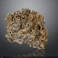 Natural Coral Formation With Brown Beige Porous Texture And Irregular Shape On Dark Background