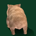 Cute Round Wombat With Thick Brown Fur Standing On Green Background