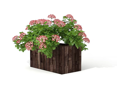 Lush Garden Accent With Wooden Planter Box Pink Flowers And Green Leaves 3d model