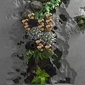 Green Plant Wall With Various Plants Colorful Flowers And Stone Texture