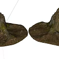 Rustic Stone Wood Tree Stumps With Exposed Roots Green Moss And Natural Stones