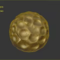 Golden Textured Pitted Sphere Decorative Household Ornament For Home Living Space