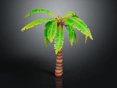 Tropical Green Leafy Palm Plant With Brown Textured Trunk On Dark Background 3d model