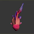 Vibrant Goldfish With Red Pink Body Purple Fins And Bulbous Head On Dark Background