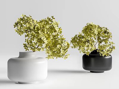 White and Black Minimalist Vases with Green Leafy Plants on Light Background 3d model
