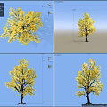 Single Deciduous Arbor with Vibrant Yellow Leaves Against Clear Blue Sky and Gray Ground