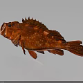 Red Fish Displaying White Spots And Spiky Fins On Gray Gradient Background 3d model