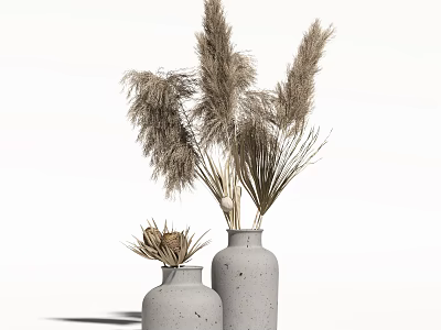 Two Concrete Vases With Dried Pampas Grass In Minimalist White Background 3d model