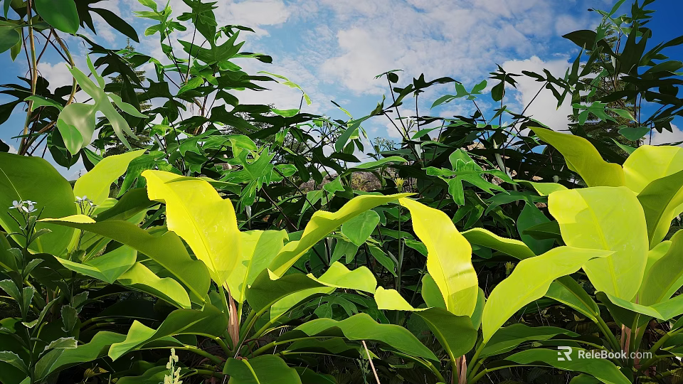 Lush Green Tropical Plant Leaves Under Blue Sky With Clouds 3d model 