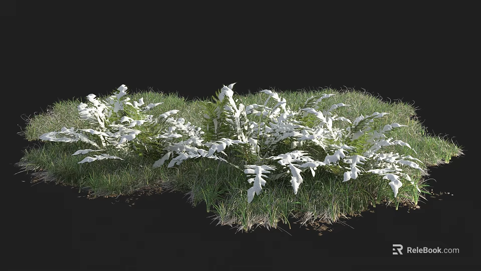 Lush Green Grass With White Ferns Thriving In Natural Outdoor Garden Plants 3d model 