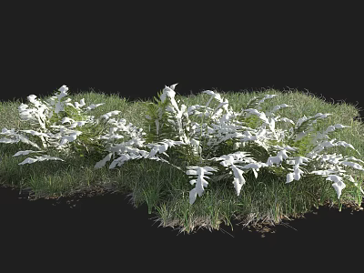 Lush Green Grass With White Ferns Thriving In Natural Outdoor Garden Plants 3d model