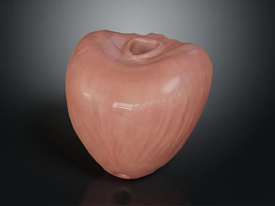 Blush Pink Apple Shaped Ceramic Vase With Textured Surface For Home Decor 3d model