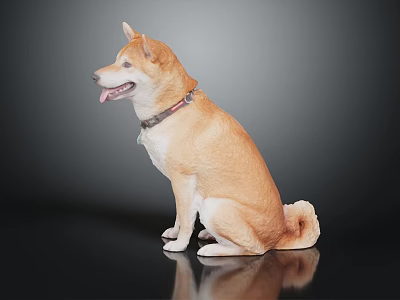 Modern Dog Shiba Dog Shepherd Dog Pet 3d model Modern Dog Shiba Dog Shepherd Dog Pet 3d model