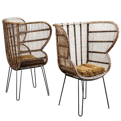 Stylish Rattan Leisure Chair With Metal Legs And Brown Cushion Design 3d model