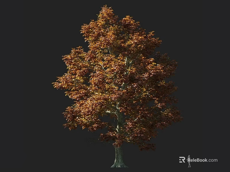 Vibrant Arbor With Orange Red Leaves And Lush Canopy On Dark Background 3d model 
