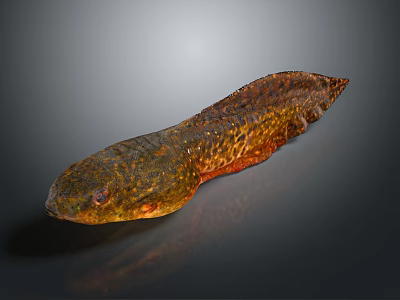 Spotted Brown And Orange Fish With Long Body And Textured Surface On Dark Background 3d model