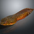 Spotted Brown And Orange Fish With Long Body And Textured Surface On Dark Background