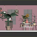 Indoor Plant Interior With Pink White Walls Monstera Sunflower Hanging Plants Round Table