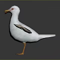 White Seagull with Spread Wings Orange Beak and Feet on Smooth Surface with Reflection