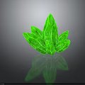 Green Leaf Shaped Crystal Structure With Glossy Surface And Black Background Reflection