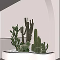 Hotel Corridor With Minimalist White Walls Recessed Ceiling Lights Arched Doorway And Potted Cacti Plants