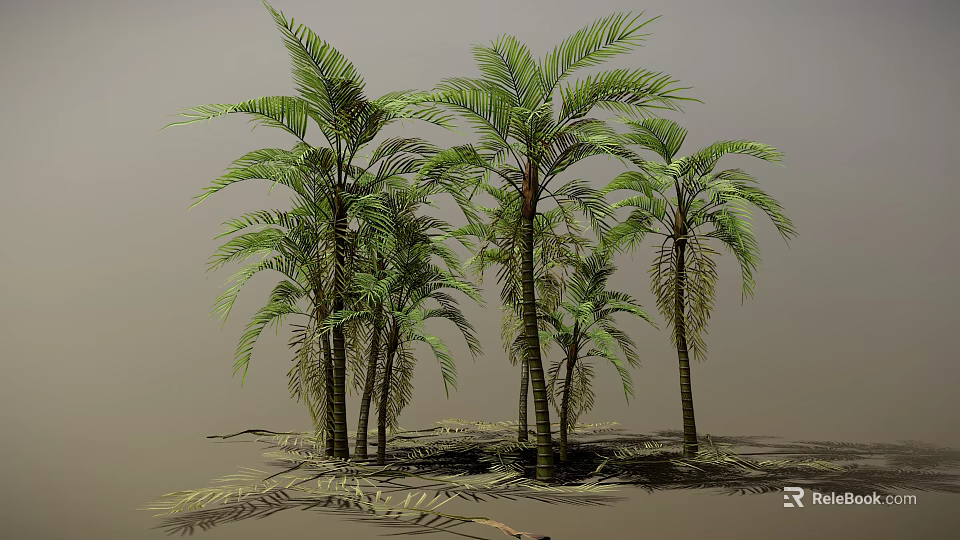 Palm Trees With Various Heights Featuring Green Leaves Trunks And Ground Shadows 3d model