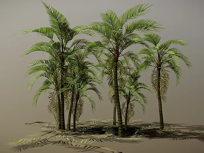 Palm Trees With Various Heights Featuring Green Leaves Trunks And Ground Shadows 3d model