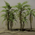 Palm Trees With Various Heights Featuring Green Leaves Trunks And Ground Shadows 3d model