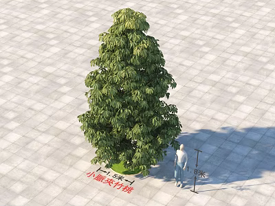 Tall Lush Green Tree with Dense Foliage on Paved Surface and Person Standing Near 3d model