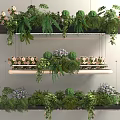 Natural Decorative Hanging Plant Shelves With Green Ferns Purple Flowers And Wooden Racks