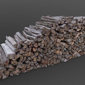 wood forest structure with large pile of firewood 3d model