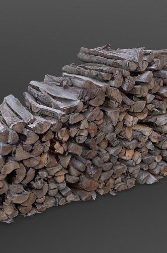 wood forest structure with large pile of firewood 3d model