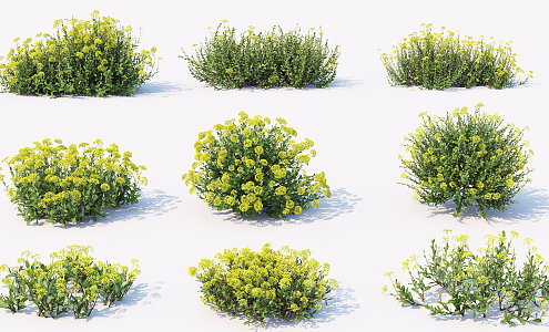 Modern flowering plants 3d model