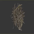 Natural Forest Floor Pile of Twigs and Tree Roots with Soil and Moss