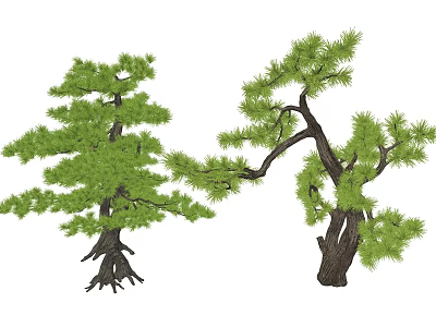 Two Lush Arbor Trees With Green Foliage And Sturdy Branching Trunks 3d model