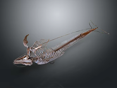Anatomical Fish Skeleton Organ Structure Featuring Bone Framework And Details 3d model