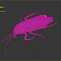Brown Cockroach with Long Antennae and Wings on Dark Surface with Reflection 3d model