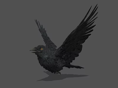 Black Crow with Spread Wings and Detailed Feathers on Gray Background 3d model