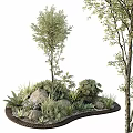 Natural Garden Ornamental Arrangement With Trees Green Plants Stones And Wooden Frame