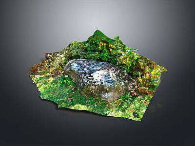 3D Terrain Model Featuring Lush Green Vegetation Small Pond Grassland and Natural Elements 3d model