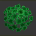 Vibrant Green Clover Plants Covering Spherical Shape Against Dark Background