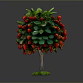 Tree Like Plant With Green Leaves And Red Strawberries On Green Base