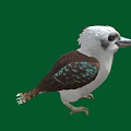 Colorful Bird with White Head Brown Body Blue Green Spotted Wings Standing on Green Background