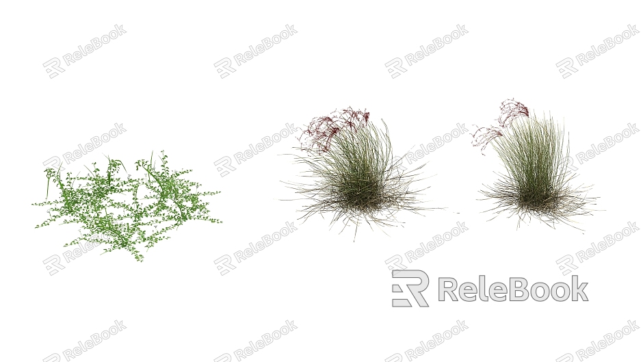 Modern grass grass flowers model